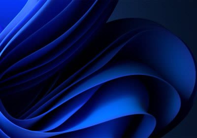 government windows operating system bloatware windows 11 tiny11